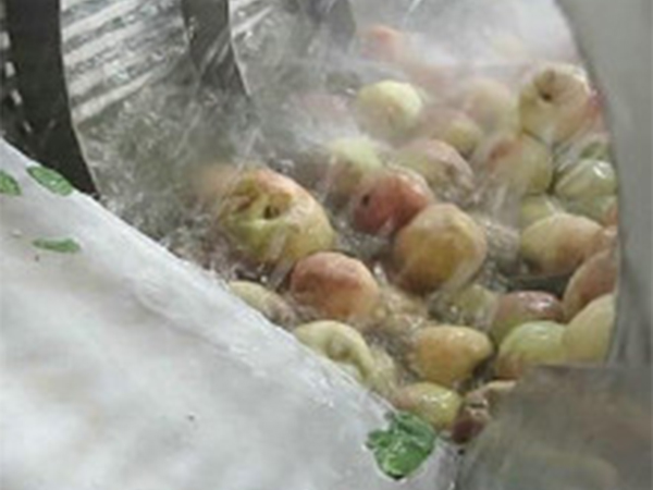 洗袋風干流水線