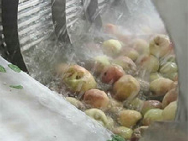 高壓氣泡清洗機(玉米類、果蔬類）